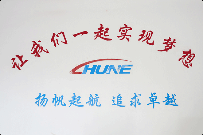 Công ty TNHH Vejiang Huaneng Micro, Ltd.